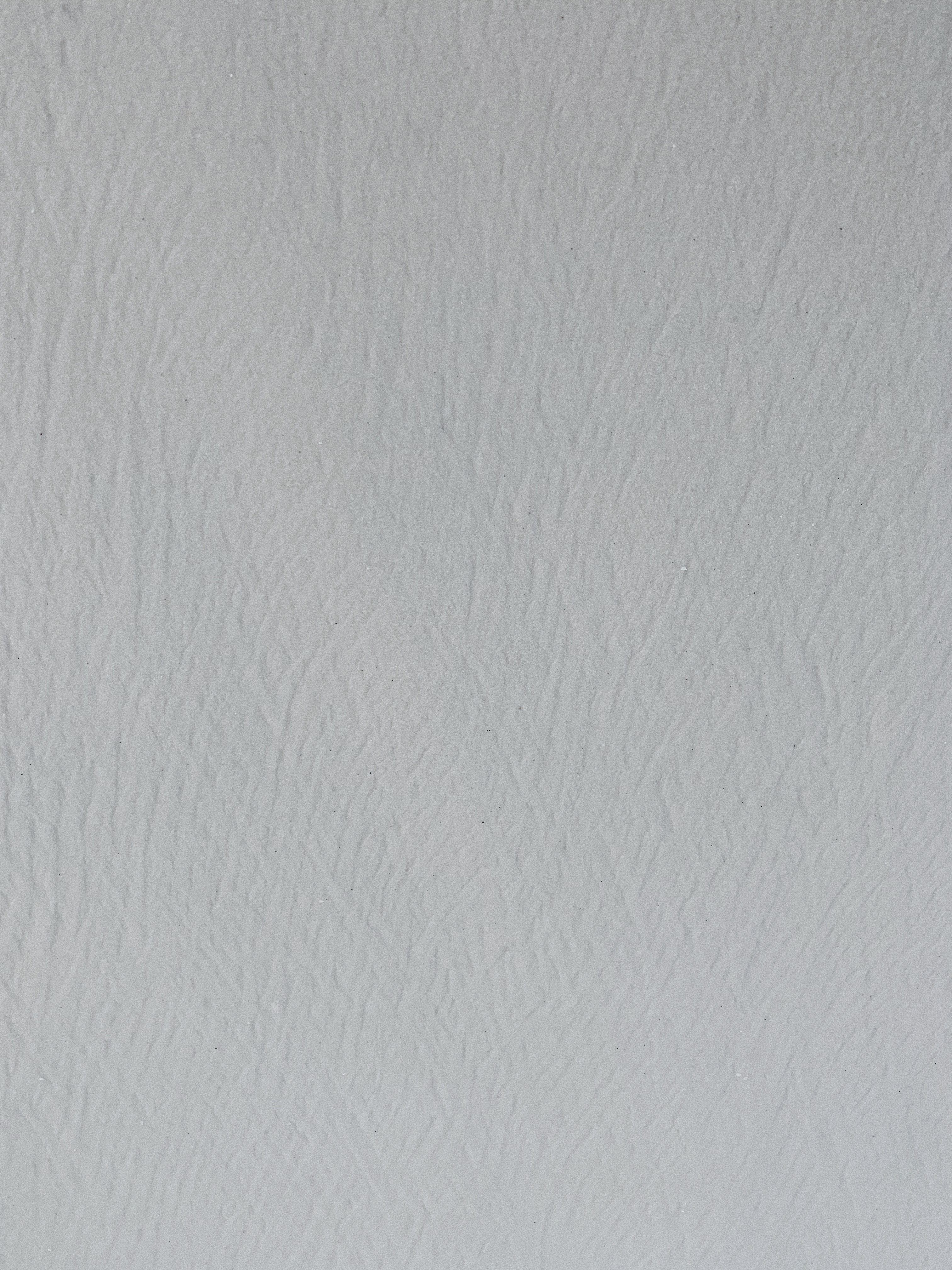 bird_prints