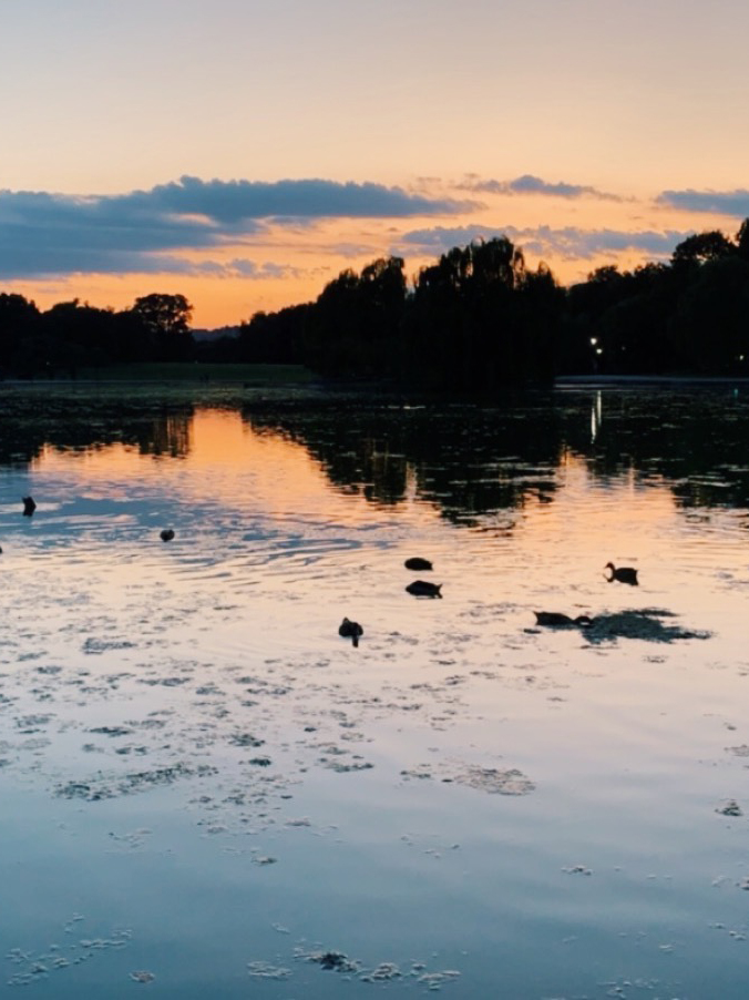 dc_sunset