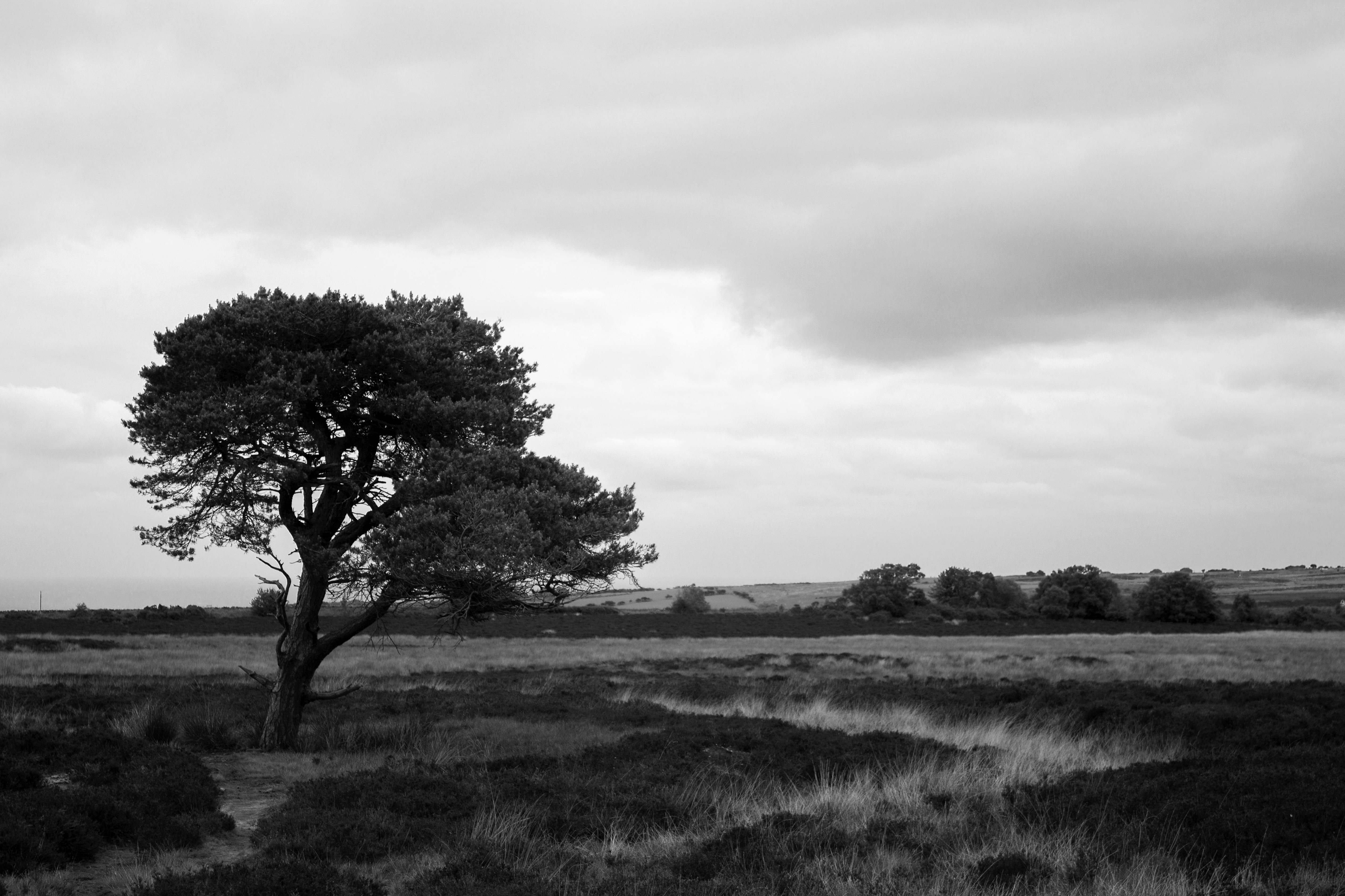 england-landscape
